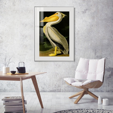INVIN ART Metal Framed Canvas Giclee Print American White Pelican by John James Audubon Wall Art Living Room Home Office Decorations