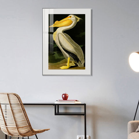 INVIN ART Metal Framed Canvas Giclee Print American White Pelican by John James Audubon Wall Art Living Room Home Office Decorations
