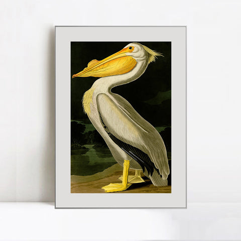 INVIN ART Metal Framed Canvas Giclee Print American White Pelican by John James Audubon Wall Art Living Room Home Office Decorations
