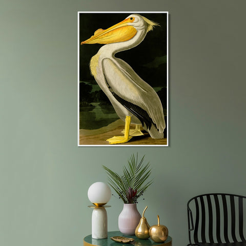 INVIN ART Framed Canvas Giclee Print American White Pelican by John James Audubon Wall Art Living Room Home Office Decorations