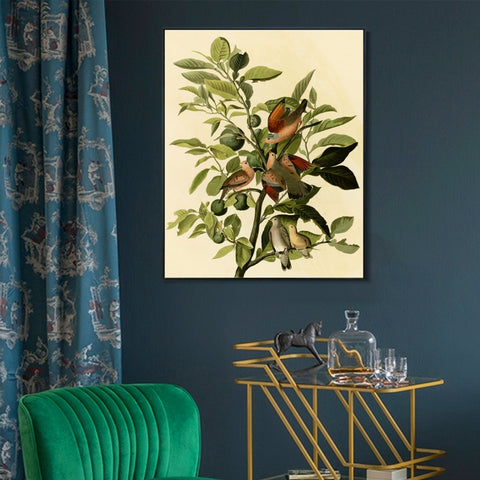 INVIN ART Framed Canvas Giclee Print Ground Dove by John James Audubon Wall Art Living Room Home Office Decorations