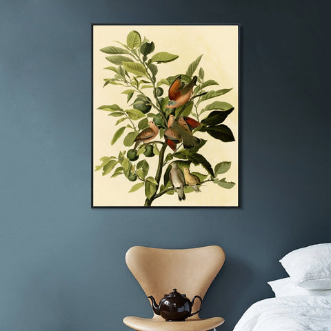 INVIN ART Framed Canvas Giclee Print Ground Dove by John James Audubon Wall Art Living Room Home Office Decorations