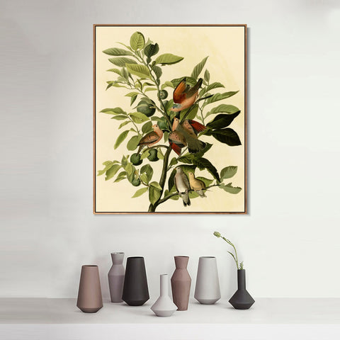 INVIN ART Framed Canvas Giclee Print Ground Dove by John James Audubon Wall Art Living Room Home Office Decorations