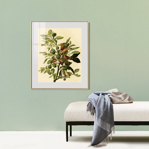 INVIN ART Metal Framed Canvas Giclee Print Ground Dove by John James Audubon Wall Art Living Room Home Office Decorations