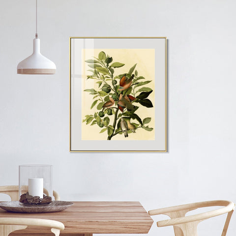 INVIN ART Metal Framed Canvas Giclee Print Ground Dove by John James Audubon Wall Art Living Room Home Office Decorations
