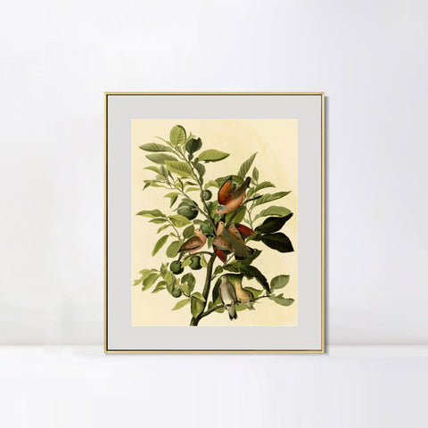 INVIN ART Metal Framed Canvas Giclee Print Ground Dove by John James Audubon Wall Art Living Room Home Office Decorations