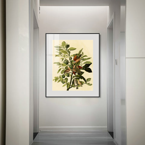 INVIN ART Metal Framed Canvas Giclee Print Ground Dove by John James Audubon Wall Art Living Room Home Office Decorations