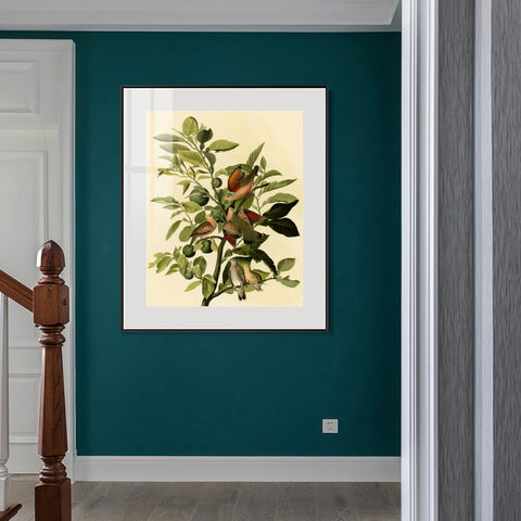 INVIN ART Metal Framed Canvas Giclee Print Ground Dove by John James Audubon Wall Art Living Room Home Office Decorations