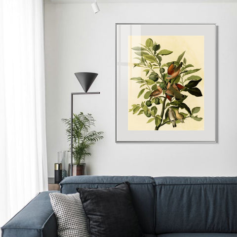 INVIN ART Metal Framed Canvas Giclee Print Ground Dove by John James Audubon Wall Art Living Room Home Office Decorations