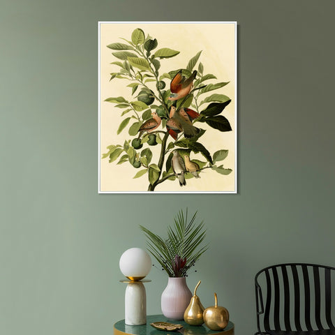 INVIN ART Framed Canvas Giclee Print Ground Dove by John James Audubon Wall Art Living Room Home Office Decorations