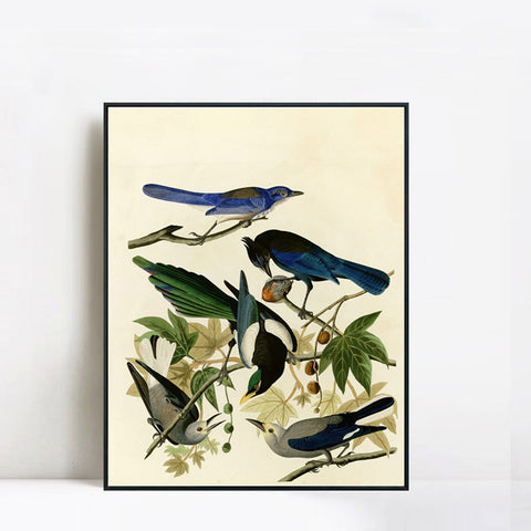 INVIN ART Framed Canvas Giclee Print Series#124 by John James Audubon Wall Art Living Room Home Office Decorations