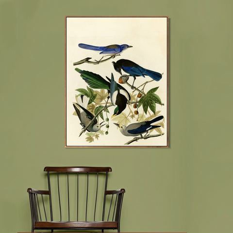 INVIN ART Framed Canvas Giclee Print Series#124 by John James Audubon Wall Art Living Room Home Office Decorations