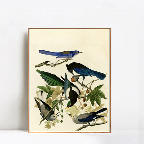 INVIN ART Framed Canvas Giclee Print Series#124 by John James Audubon Wall Art Living Room Home Office Decorations
