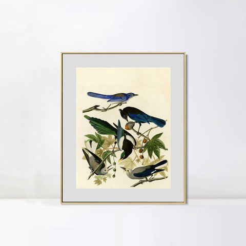 INVIN ART Metal Framed Canvas Giclee Print Series#124 by John James Audubon Wall Art Living Room Home Office Decorations