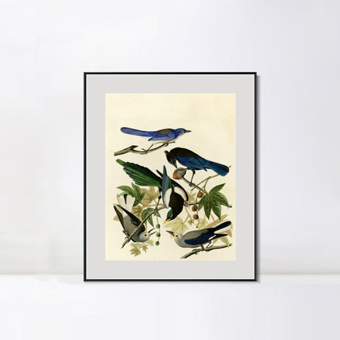 INVIN ART Metal Framed Canvas Giclee Print Series#124 by John James Audubon Wall Art Living Room Home Office Decorations