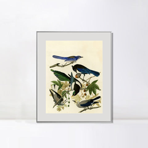 INVIN ART Metal Framed Canvas Giclee Print Series#124 by John James Audubon Wall Art Living Room Home Office Decorations