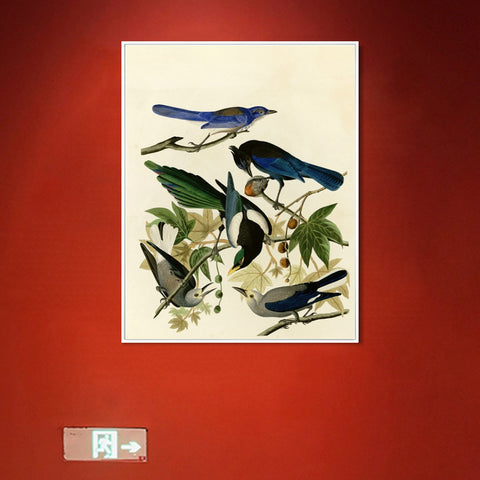 INVIN ART Framed Canvas Giclee Print Series#124 by John James Audubon Wall Art Living Room Home Office Decorations
