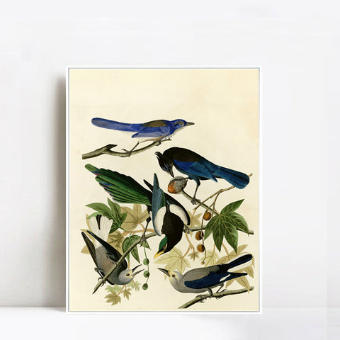 INVIN ART Framed Canvas Giclee Print Series#124 by John James Audubon Wall Art Living Room Home Office Decorations