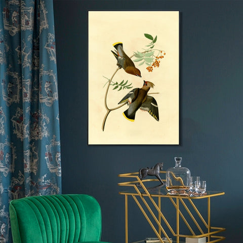 INVIN ART Framed Canvas Giclee Print Series#125 by John James Audubon Wall Art Living Room Home Office Decorations