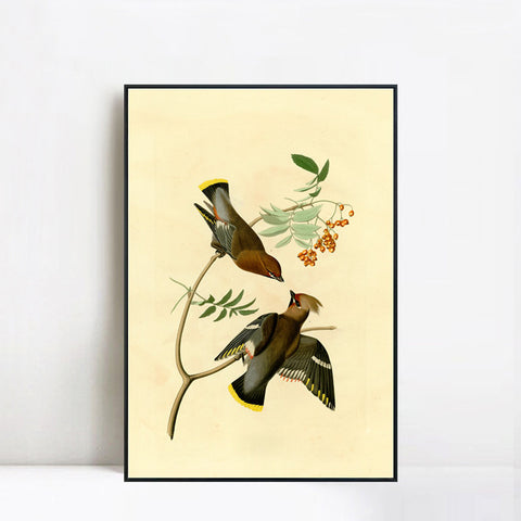 INVIN ART Framed Canvas Giclee Print Series#125 by John James Audubon Wall Art Living Room Home Office Decorations