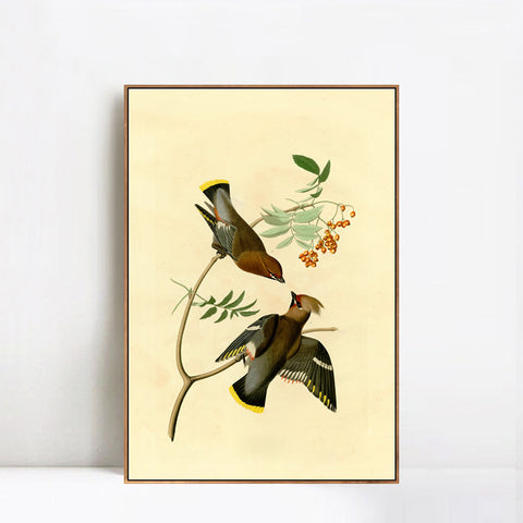 INVIN ART Framed Canvas Giclee Print Series#125 by John James Audubon Wall Art Living Room Home Office Decorations
