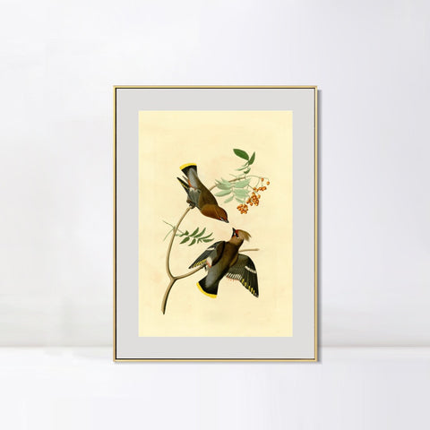 INVIN ART Metal Framed Canvas Giclee Print Series#125 by John James Audubon Wall Art Living Room Home Office Decorations