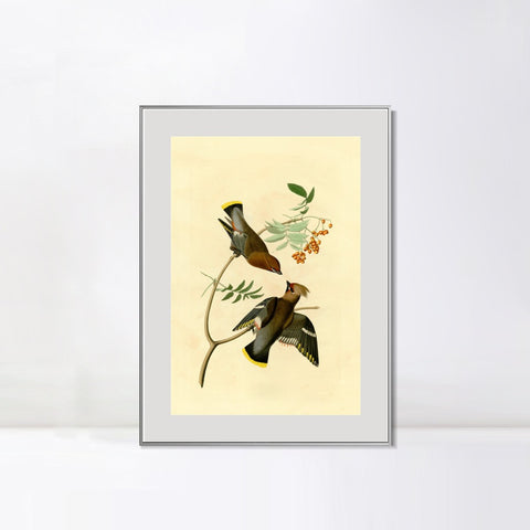 INVIN ART Metal Framed Canvas Giclee Print Series#125 by John James Audubon Wall Art Living Room Home Office Decorations