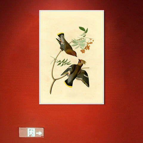 INVIN ART Framed Canvas Giclee Print Series#125 by John James Audubon Wall Art Living Room Home Office Decorations