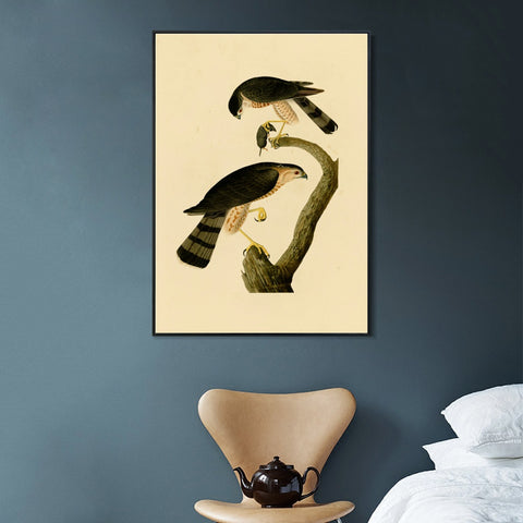 INVIN ART Framed Canvas Giclee Print Sharp shinned Hawk by John James Audubon Wall Art Living Room Home Office Decorations