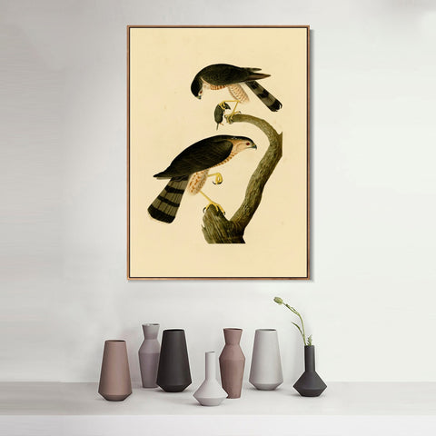 INVIN ART Framed Canvas Giclee Print Sharp shinned Hawk by John James Audubon Wall Art Living Room Home Office Decorations