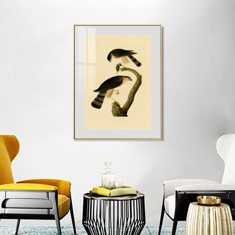 INVIN ART Metal Framed Canvas Giclee Print Sharp shinned Hawk by John James Audubon Wall Art Living Room Home Office Decorations