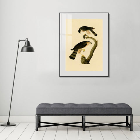 INVIN ART Metal Framed Canvas Giclee Print Sharp shinned Hawk by John James Audubon Wall Art Living Room Home Office Decorations
