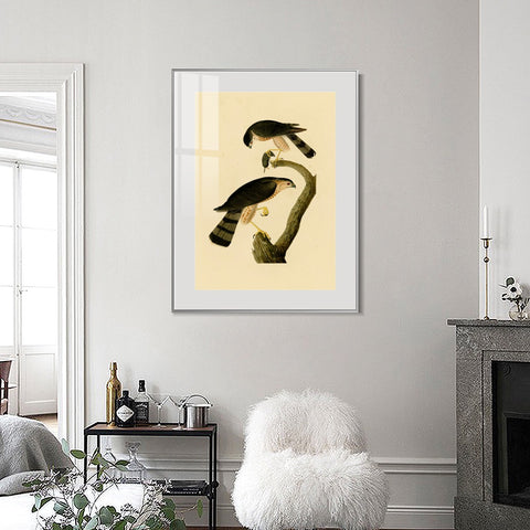 INVIN ART Metal Framed Canvas Giclee Print Sharp shinned Hawk by John James Audubon Wall Art Living Room Home Office Decorations