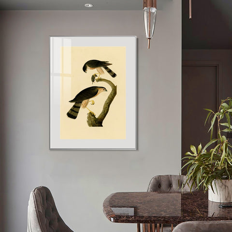 INVIN ART Metal Framed Canvas Giclee Print Sharp shinned Hawk by John James Audubon Wall Art Living Room Home Office Decorations