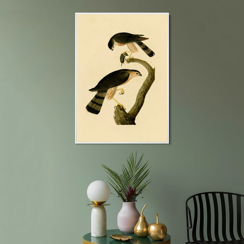 INVIN ART Framed Canvas Giclee Print Sharp shinned Hawk by John James Audubon Wall Art Living Room Home Office Decorations