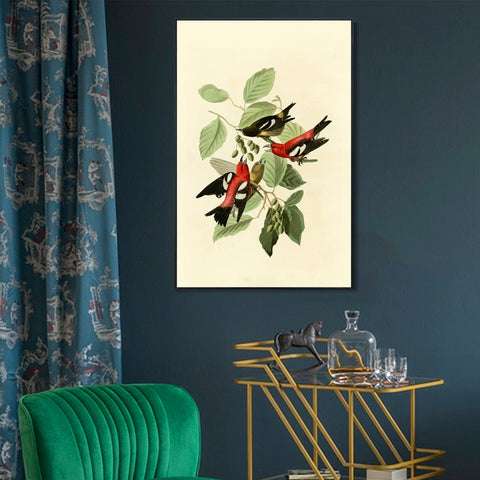 INVIN ART Framed Canvas Giclee Print White winged Crossbill by John James Audubon Wall Art Living Room Home Office Decorations