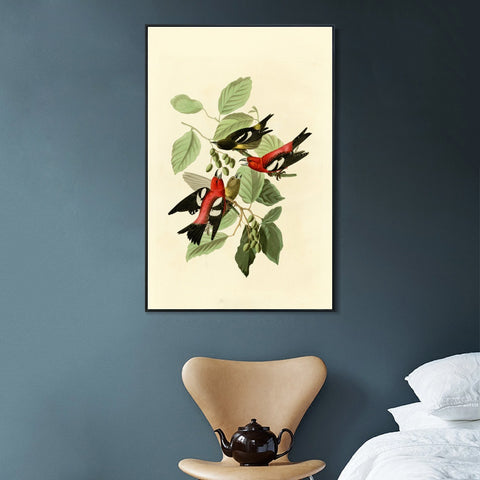 INVIN ART Framed Canvas Giclee Print White winged Crossbill by John James Audubon Wall Art Living Room Home Office Decorations