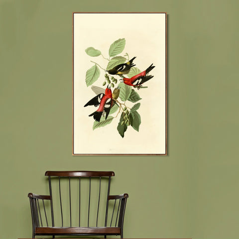 INVIN ART Framed Canvas Giclee Print White winged Crossbill by John James Audubon Wall Art Living Room Home Office Decorations