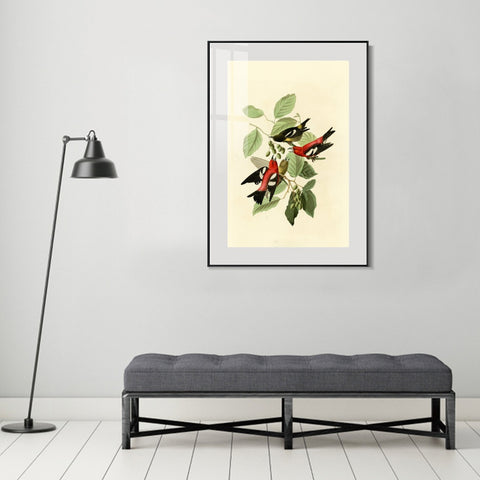 INVIN ART Metal Framed Canvas Giclee Print White winged Crossbill by John James Audubon Wall Art Living Room Home Office Decorations