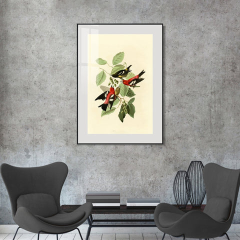 INVIN ART Metal Framed Canvas Giclee Print White winged Crossbill by John James Audubon Wall Art Living Room Home Office Decorations