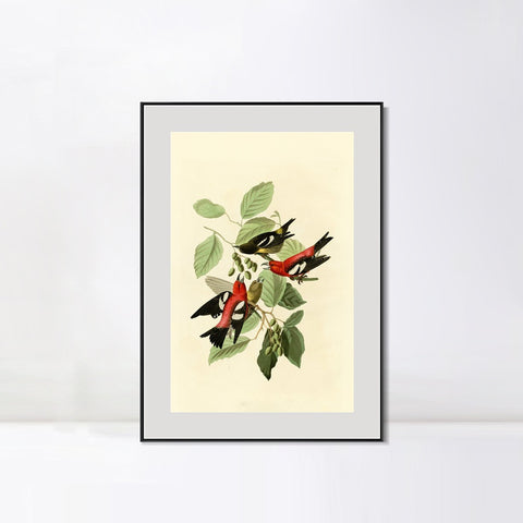 INVIN ART Metal Framed Canvas Giclee Print White winged Crossbill by John James Audubon Wall Art Living Room Home Office Decorations