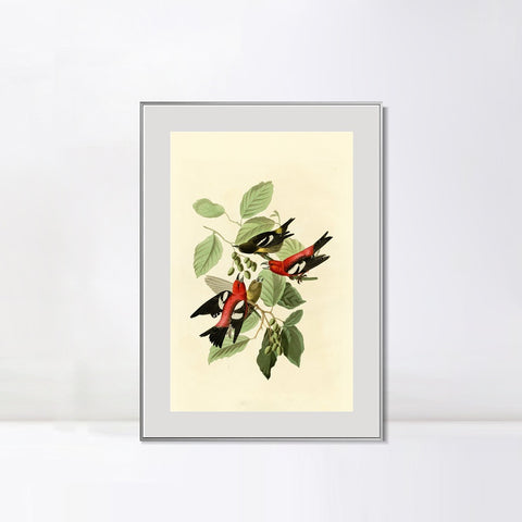 INVIN ART Metal Framed Canvas Giclee Print White winged Crossbill by John James Audubon Wall Art Living Room Home Office Decorations