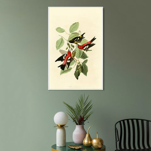 INVIN ART Framed Canvas Giclee Print White winged Crossbill by John James Audubon Wall Art Living Room Home Office Decorations