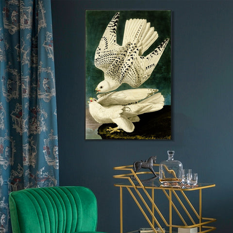 INVIN ART Framed Canvas Giclee Print Iceland or Jer Falcon by John James Audubon Wall Art Living Room Home Office Decorations