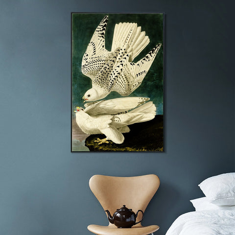 INVIN ART Framed Canvas Giclee Print Iceland or Jer Falcon by John James Audubon Wall Art Living Room Home Office Decorations