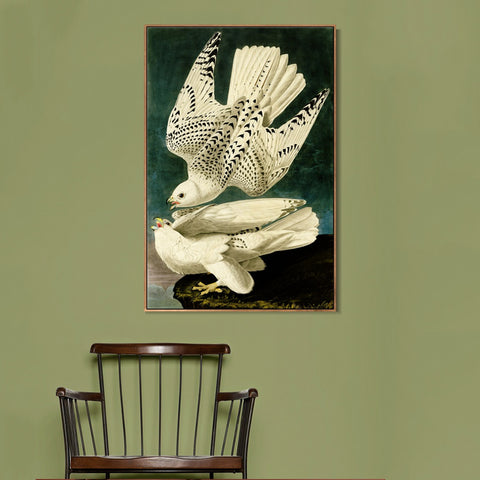 INVIN ART Framed Canvas Giclee Print Iceland or Jer Falcon by John James Audubon Wall Art Living Room Home Office Decorations
