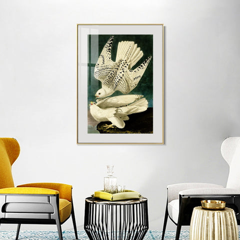 INVIN ART Metal Framed Canvas Giclee Print Iceland or Jer Falcon by John James Audubon Wall Art Living Room Home Office Decorations