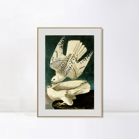 INVIN ART Metal Framed Canvas Giclee Print Iceland or Jer Falcon by John James Audubon Wall Art Living Room Home Office Decorations