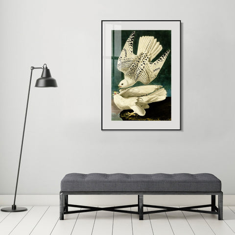 INVIN ART Metal Framed Canvas Giclee Print Iceland or Jer Falcon by John James Audubon Wall Art Living Room Home Office Decorations