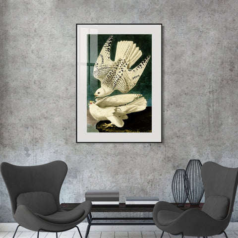 INVIN ART Metal Framed Canvas Giclee Print Iceland or Jer Falcon by John James Audubon Wall Art Living Room Home Office Decorations
